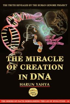 The Miracle of Creation in DNA