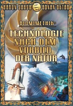 Biomimethik: Technologie nach dem Vorbild der Natur