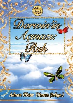  Darwin'in Açmazı Ruh