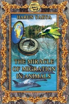 The Miracle of Migration in Animals