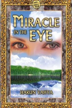 Miracle in the Eye