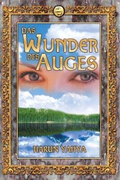 Das Wunder des Auges