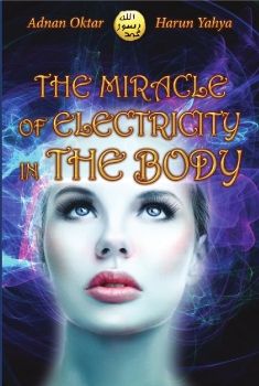 The Miracle of Electricity in the Body