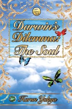 Darwin's Dilemma: The Soul 