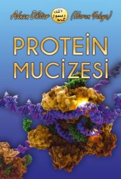  Protein Mucizesi