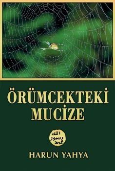 Örümcekteki Mucize