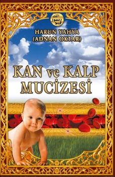 Kan ve Kalp Mucizesi