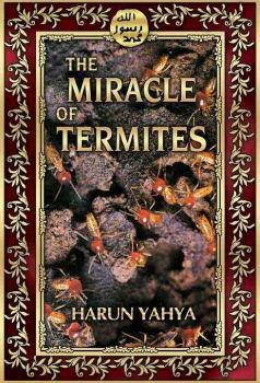 The Miracle of Termites