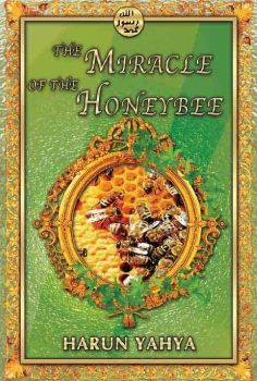 The Miracle of the Honeybee