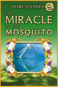 The Miracle in the Mosquito