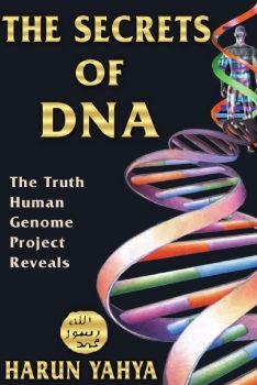 The Secrets of the DNA