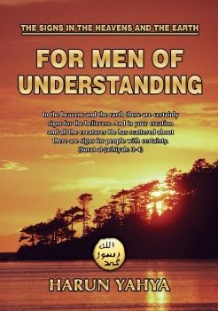 For Men of Understanding