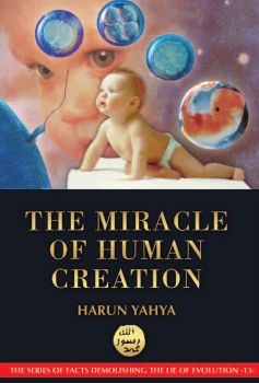 The Miracle of Human Creation