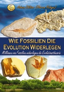 Wie Fossilien die Evolution widerlegen