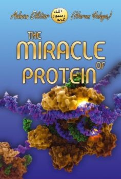 The Miracle of Protein 