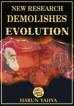 New Research Demolishes Evolution