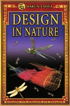 Design in Nature