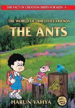 The World Of Our Little Friends, The Ants