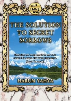 The Solution To Secret Sorrows 