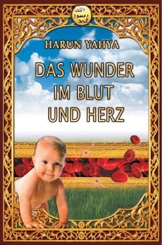 Das Wunder im Blut und Herz