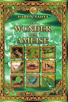 Das Wunder der Ameise