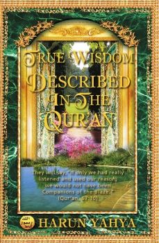 True Wisdom Described in the Qur'an