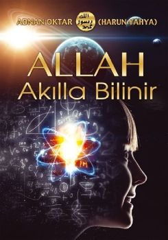  Allah Akılla Bilinir