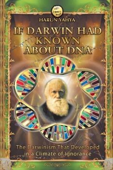 If Darwin Had Known about DNA