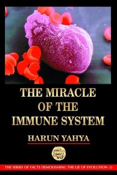 The Miracle of the Immune System