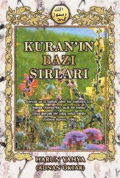 Kuran'ın Bazı Sırları