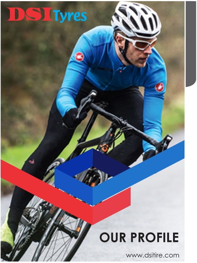 DSI Tyres-Company Profile