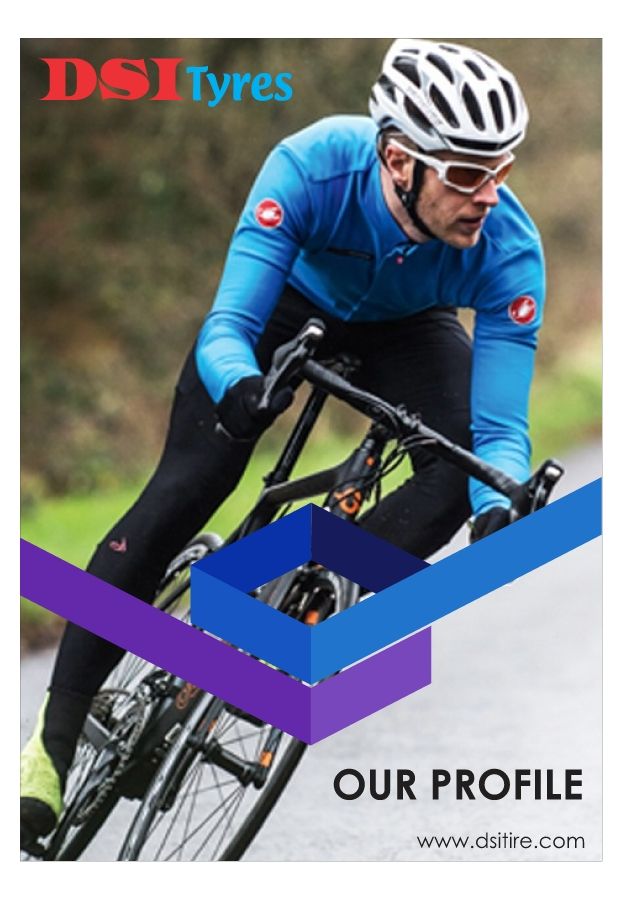 DSI Tyres-Company Profile