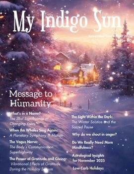 My Indigo Sun November - December 2025