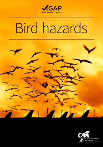 Bird_Hazards