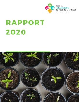 Copie de Rapport 2020