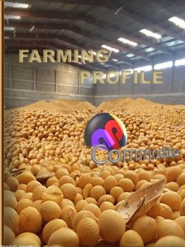 Farming Profile 2019 I