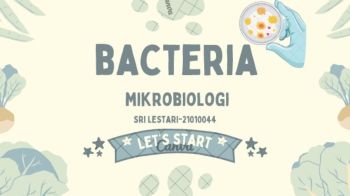 BACTERIA