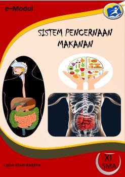E-Modul Sistem Pencernaan Makanan