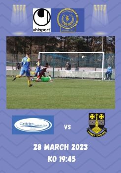 Cribbs FC v Lydney Town 280323