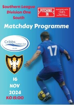 Cribbs FC v Falmouth Town 161124