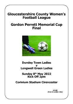 County Women's League Cup Final