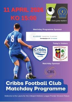 Cribbs FC v Cinderford Town 110426