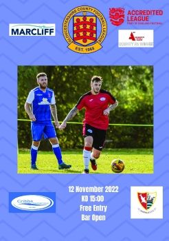 Cribbs FC Res v Sharpness 121122