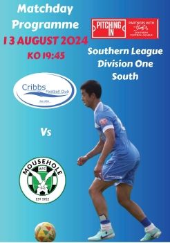 Cribbs FC v Mousehole 130824