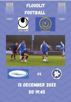 Cribbs FC v Brimscombe & Thrupp 131222