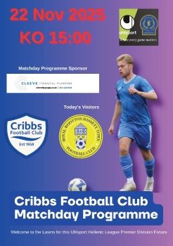 Cribbs FC v Royal Wootton Bassett 221125
