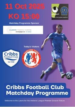 Cribbs FC v Fairford Town 111025