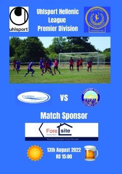 Cribbs FC v Bradford Town 130822