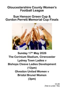 Glos County Women's League Cup Final