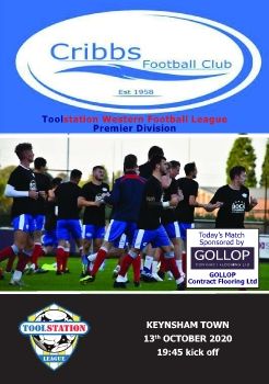Cribbs FC v Keynsham Town 131020